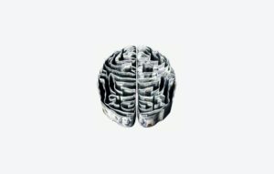 intelligence